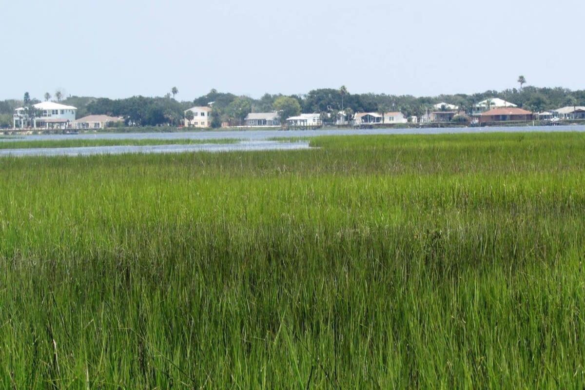 Canal Home Dock Walk To Beach Kayaks Sup Fishing Saint Augustine Eksteriør billede